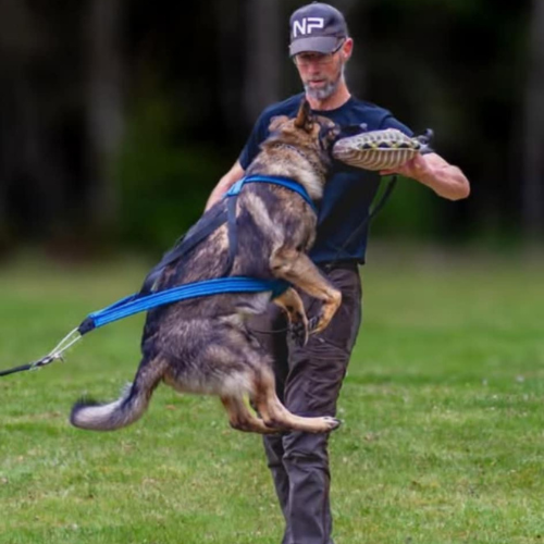 httc logga transparant (1)