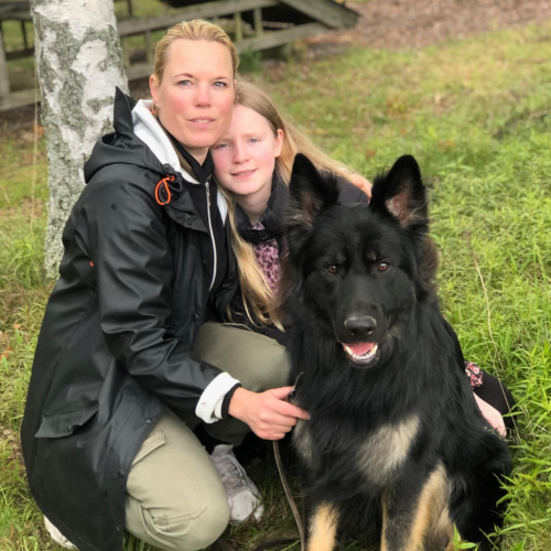 httc logga transparant (3)